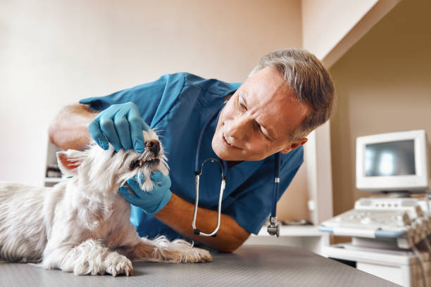 Best Tooth Pain Emergency Relief  in Everman, TX